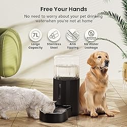 CZPET Automatic 7L Dog and Cat Water Dispenser with
