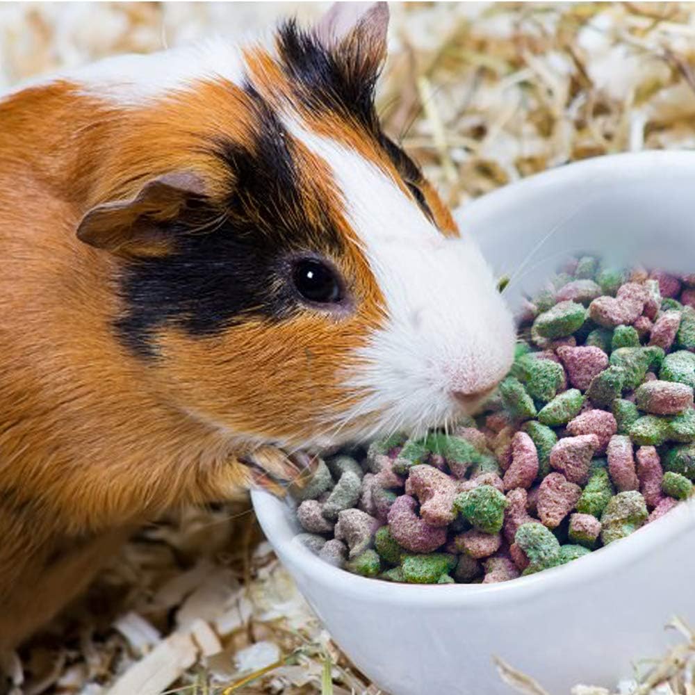 Fun Fruity Mix Nuggets 1.5kg Complimentary Healthy Nutrition for