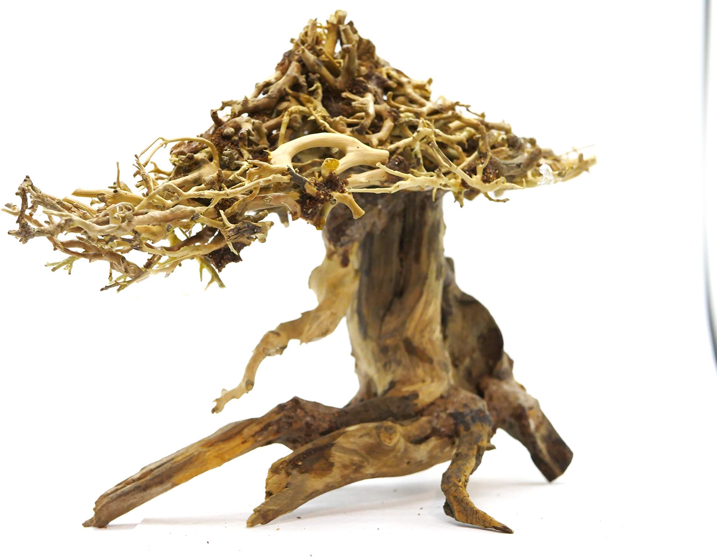 Aqualexs Bonsai Driftwood for Aquarium