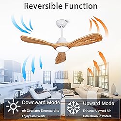 Ceiling Fans with Lights and Remote,42 Inch Unique