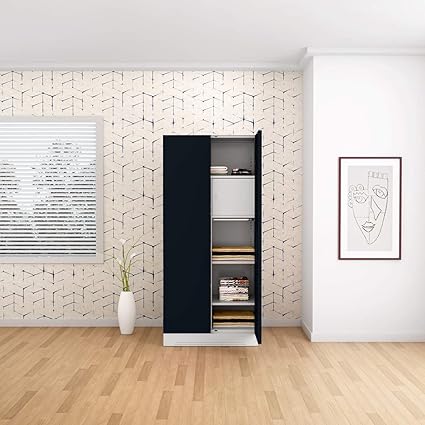 Godrej Interio Slimline 2 Door Steel Almirah With Locker Drawer In Pacific Blue Glossy Finish Amazon In Home Kitchen