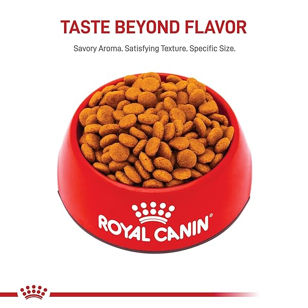 ROYAL CANIN SIZE HEALTH NUTRITION MEDIUM ADULT DRY DOG FOOD, 4 LB BAG