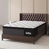 Duchessz Queen Mattress, 14 Inch Hybrid Mattresses
