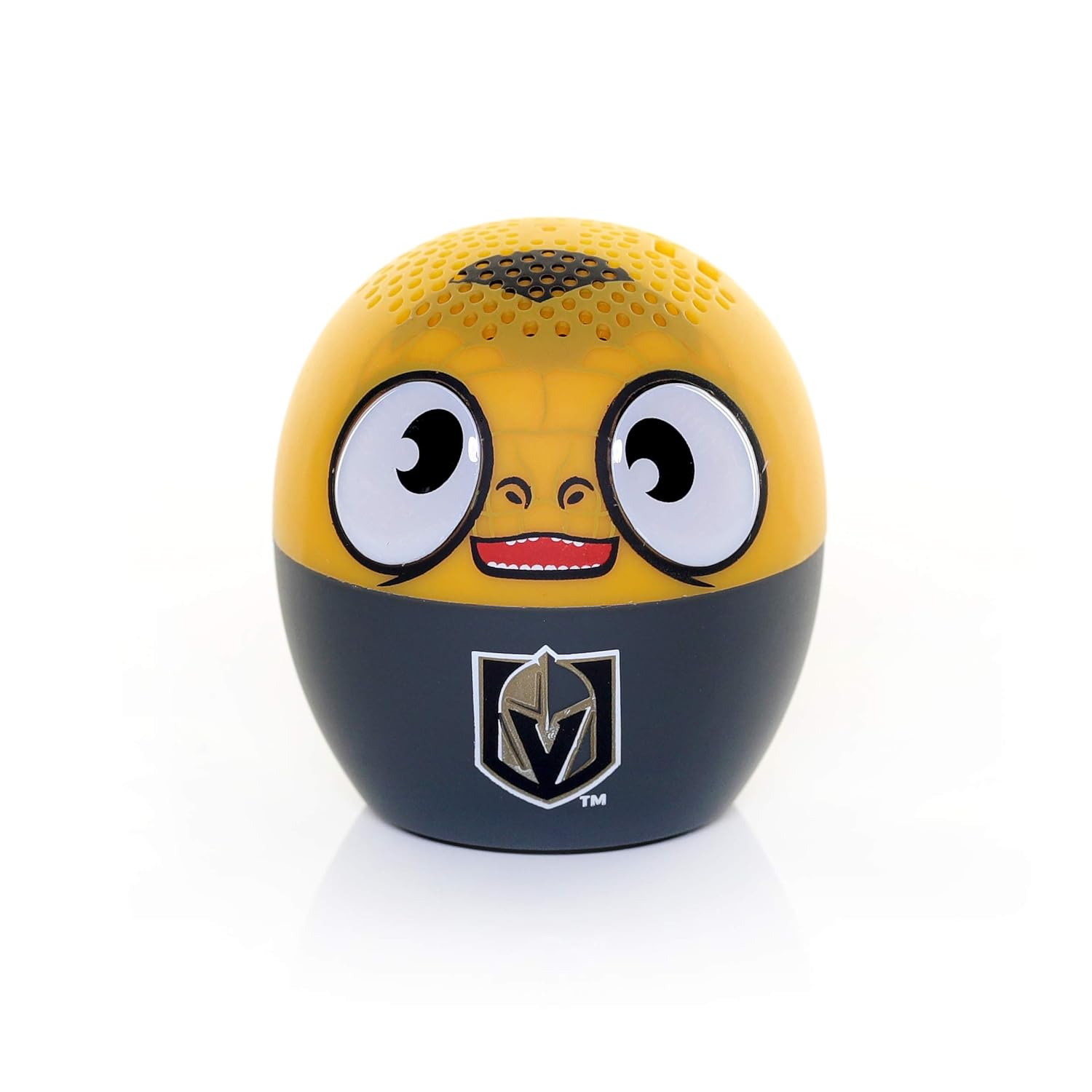 boomer bluetooth speaker