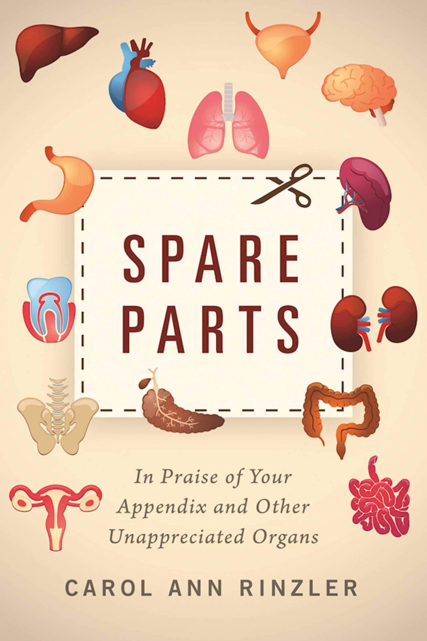 Spare Parts: In Praise of Your Appendix and Other