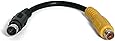 StarTech.com 6 Inch S-Video to Composite Video Adapter Cable