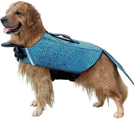 Xl dog life jacket Clearance