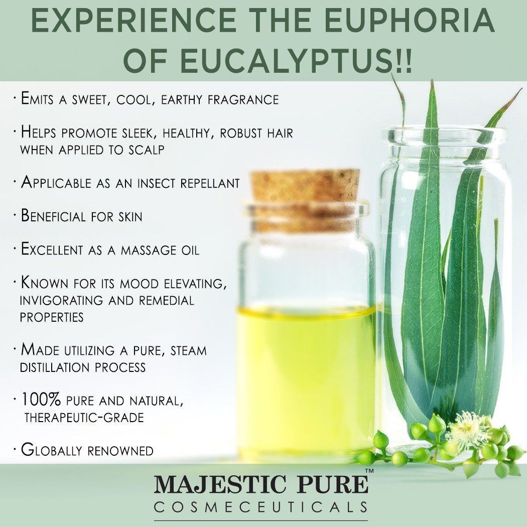 Majestic Pure Eucalyptus Essential Oil, Pure and Natural with Therapeutic Grade, Premium Quality Eucalyptus Oil, 4 fl. Oz.