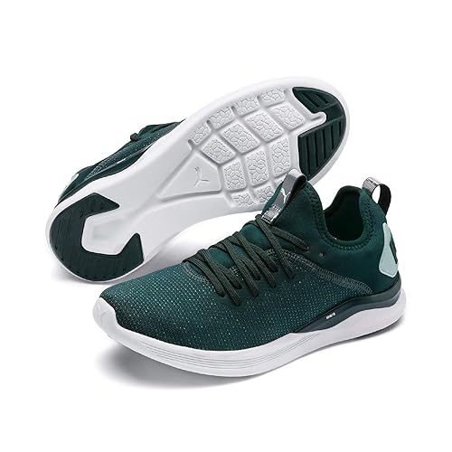 puma women's ignite flash evoknit