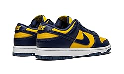 Nike Dunk Low Retro Women's Basketball