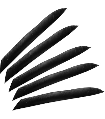 Plumes de flèche de dinde de 3 pouces, 50 pièces, ailes