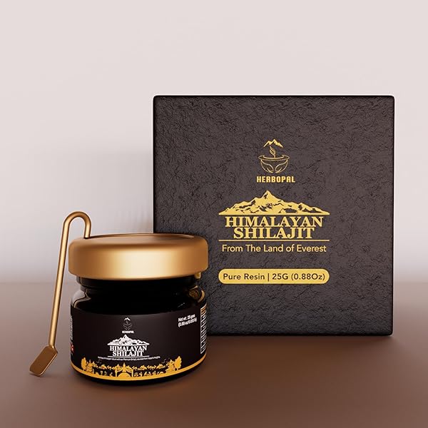 SHILAJIT – PURE ORGANIC RESIN FOR NATURAL ENERGY BOOST, IMMUNE SYSTEM SUPPORT, AND VITALITY ENHANCEMENT – 25 GRAM