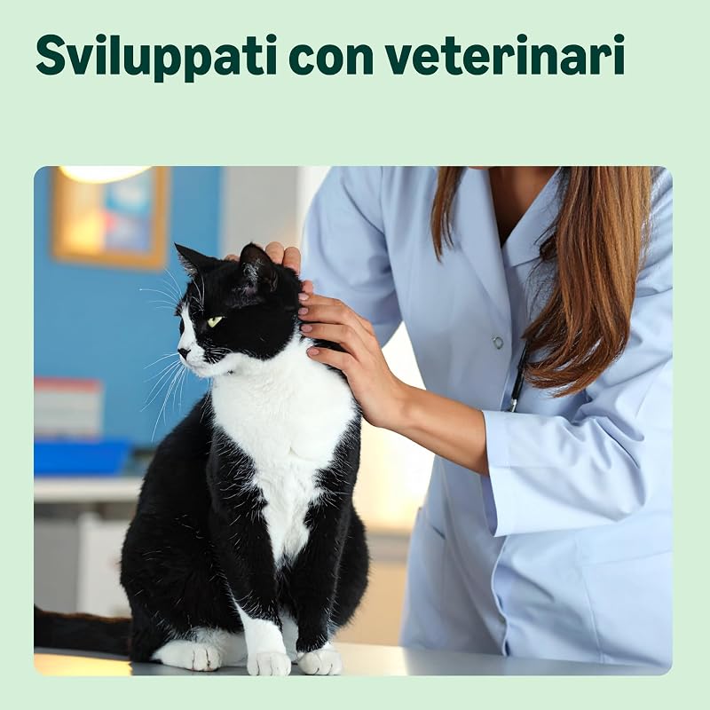Cibo completo per gatti con ricetta senza cereali, Senior, con pollo fresco 3kg