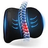 Dijialun Lumbar Support Pillow for Car, Memory Foam Back Support Lumbar Pillow for Car, Gaming, Office Chair, Ergonomic for Lower Back Pain Relief, Softness Breathable Removable Mesh Cover, Black
