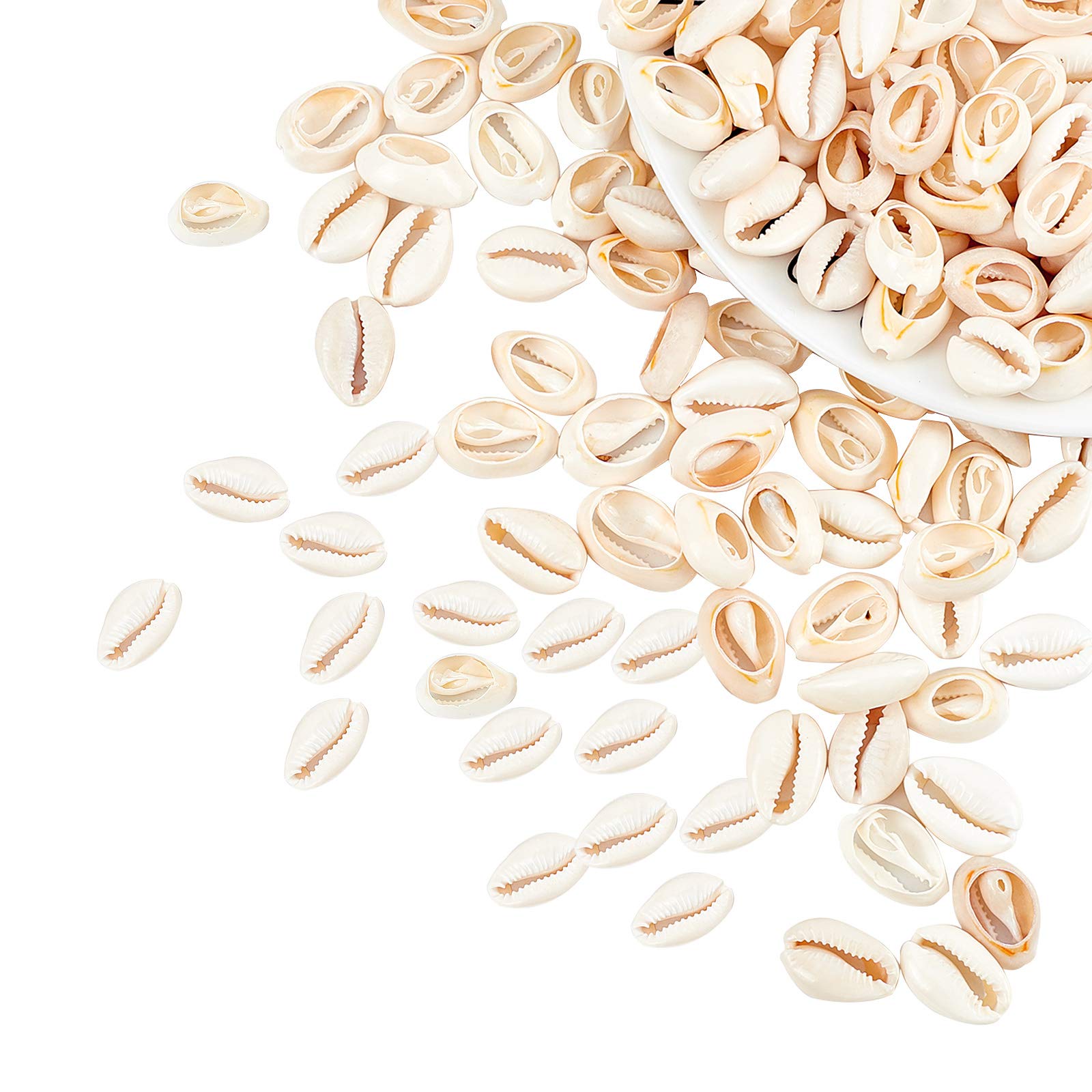 NBEADS 500G/340 Pcs Mixed Spiral Shell Beads Cowrie Sea Shells Oval Ocean Beach Spiral Seashells, Papayawhip, 18-20x13-14x6-8mm