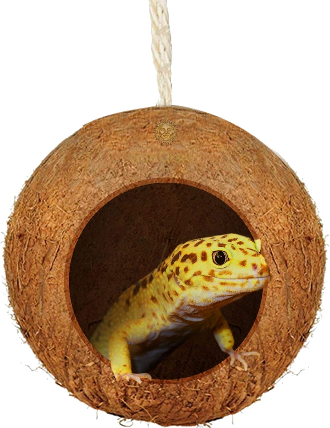 SunGrow Gecko Coconut Bird Hut, Nesting House for Cage or Patio, Finch, Canary, Sparrows’ Feeder, Rough Texture Encourages Foot and Beak Exercise, Home Decor or Hanging Food Dispenser, 1-Hole