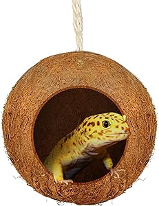 SunGrow Gecko Coconut Bird Hut, Nesting House for Cage or Patio, Finch, Canary, Sparrows’ Feeder, Rough Texture Encourages Foot and Beak Exercise, Home Decor or Hanging Food Dispenser, 1-Hole