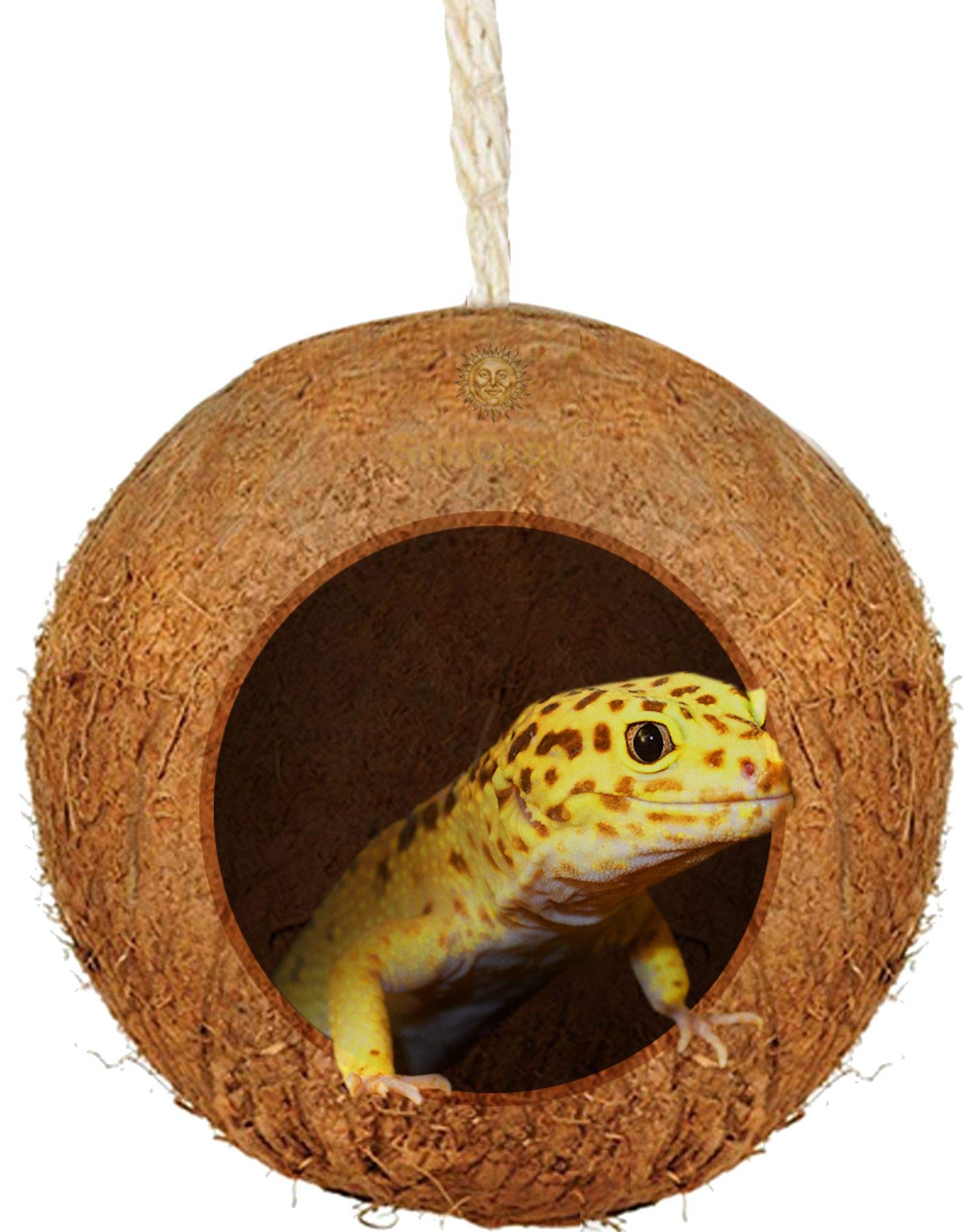 Buy SunGrow Leopard Gecko Coco Hut, Gecko Climbing Accessories, Raw