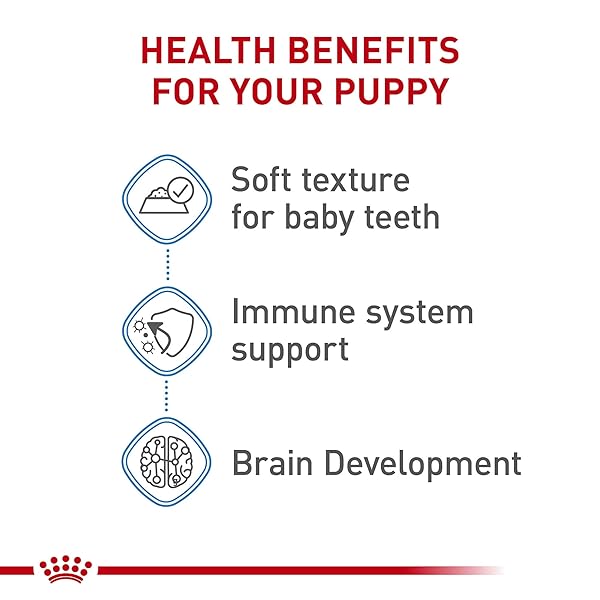 ROYAL CANIN SIZE HEALTH NUTRITION X-SMALL PUPPY THIN SLICES IN GRAVY DOG FOOD, 3 OZ (PACK OF 12)