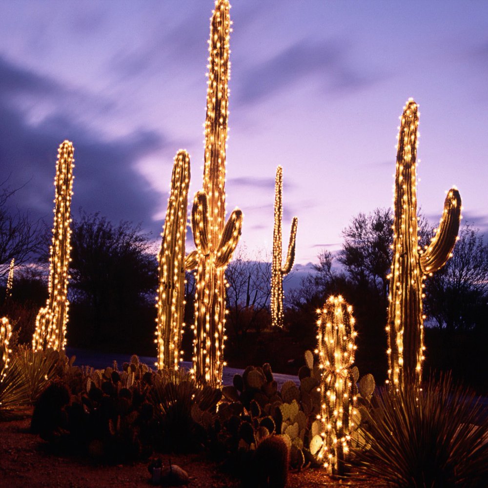 HG® 300LEDs 30m Blanco Cálido Cadena De Luces Adena De Luces LED Fiesta De Navidad Decoración Para Navidad