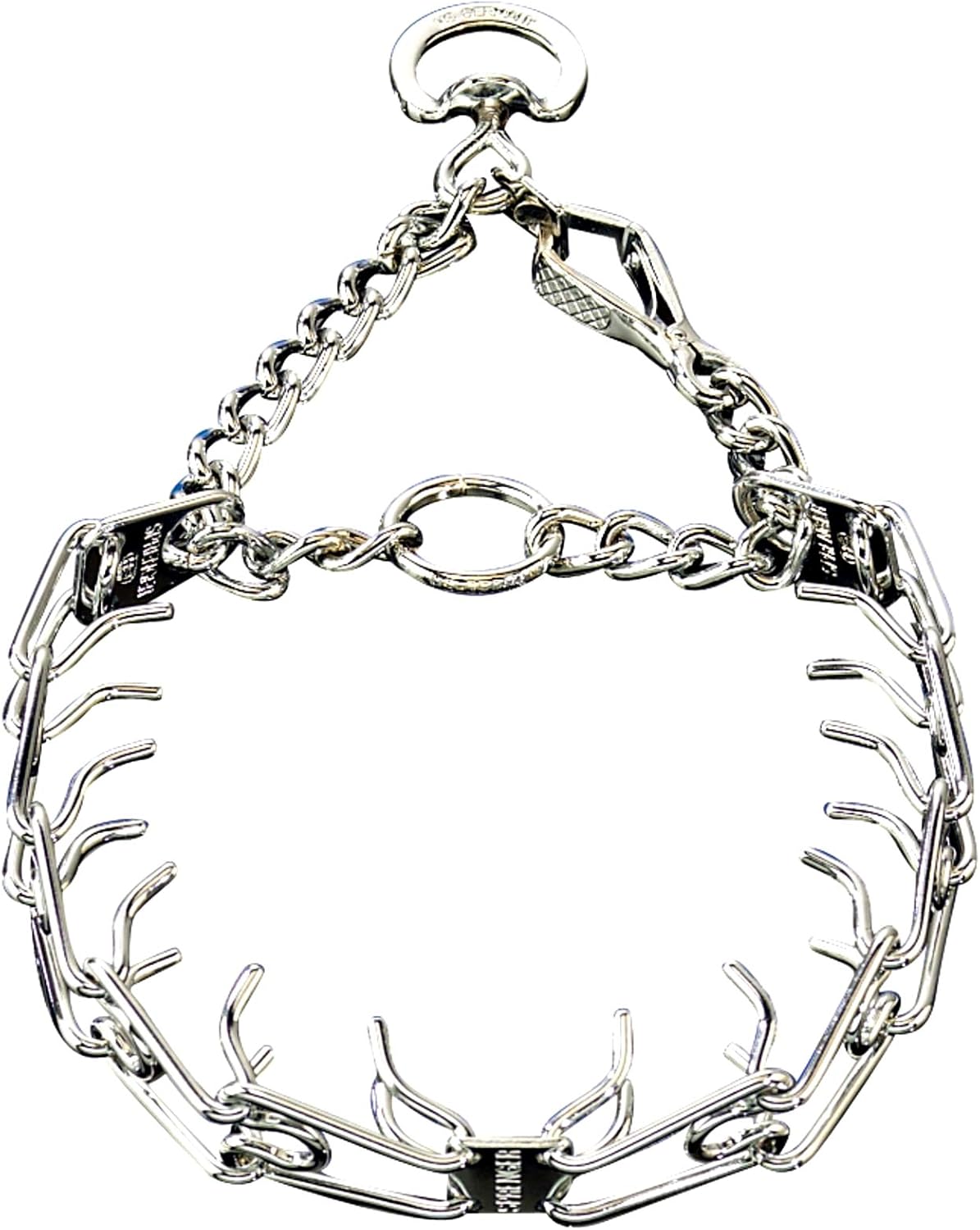 black and tan kelpie puppy