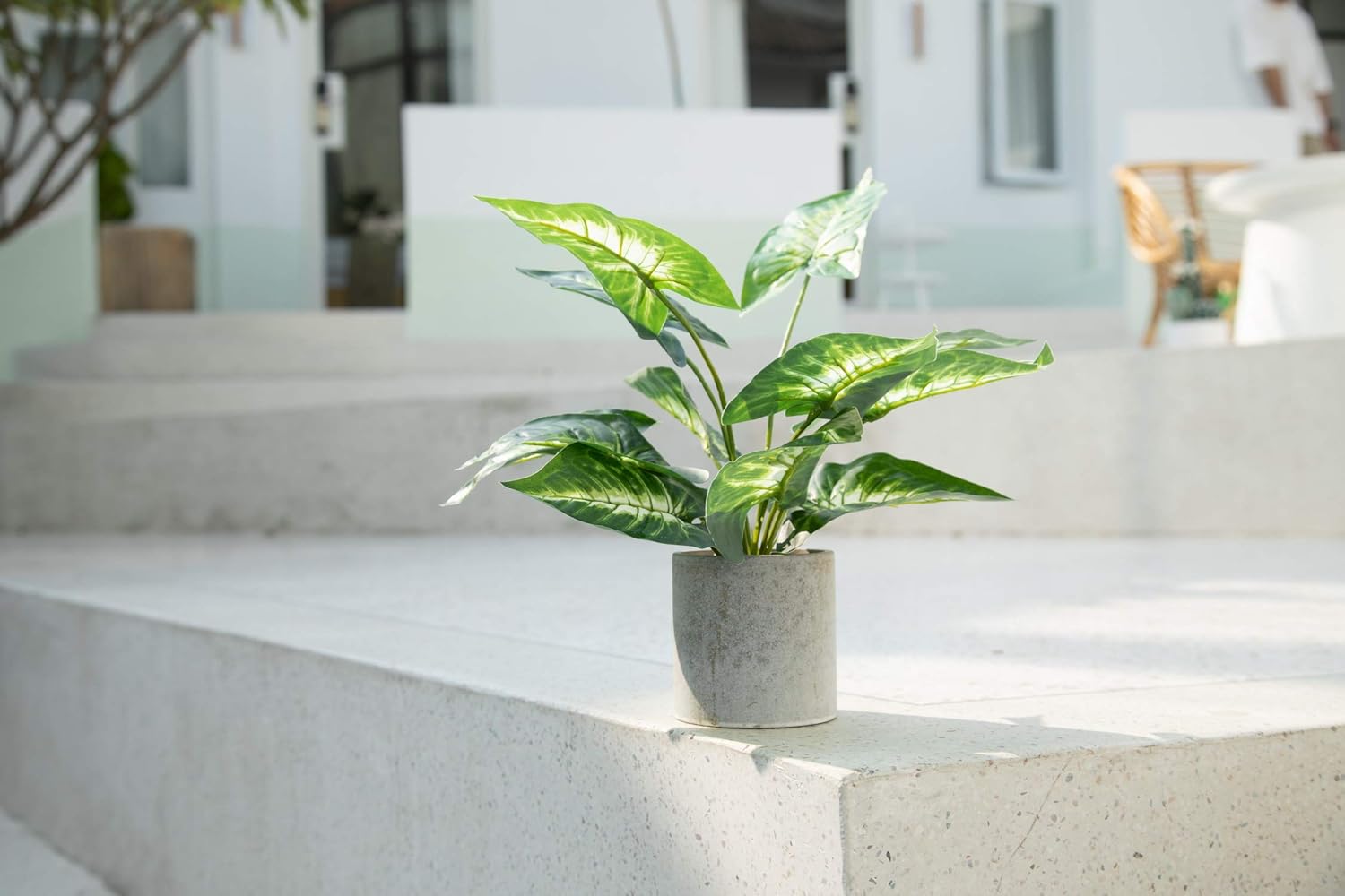 Velener 15" Artificial Potted Green Leaf Plant in Pot for Desk Top Decor (Taro Leaf) -