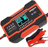 Nexpeak 10 Amp Car Battery Charger 12V/24V Smart Fully Automatic