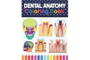 Dental Anatomy Coloring Book: Dental Anatomy Self test Guide for Dental Anatomy Students. Tooth Art & Anatomy Workbook for Ki