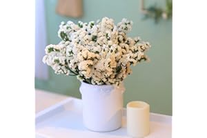 SAIPRO Dried Flowers Sea Lavender Bouquet - Real 100% Natural Statice 100+ Branches White Preserved Flower, 12 inch Dried Lavender Bundle for Arrangements, Home Decor, Wedding, DIY Party (White)