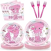 96 Pcs Pink Tornado 2nd Birthday Party Paper Plates and Napkins Tableware Two Nado Paper Dinnerware Set Decorations Cartoon Two Nado Disposable for Girls 2 Year Old Birthday Party Serves 24