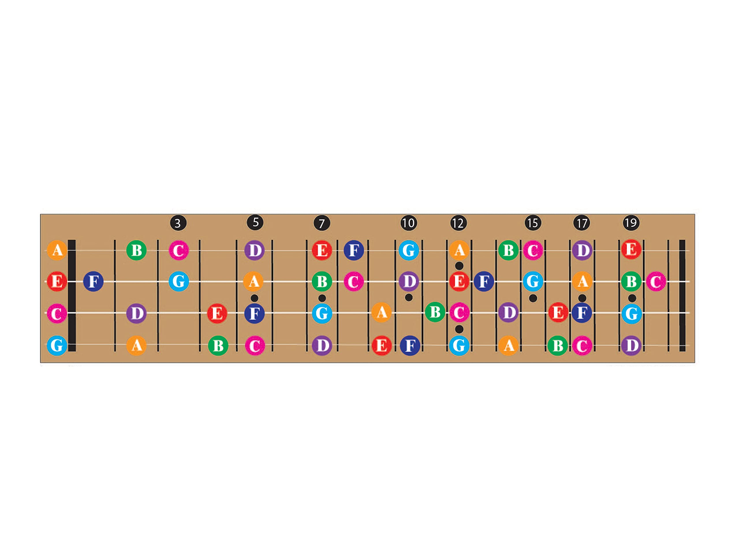 Color Coded Ukulele Guitar Fretboard Note Chart Learn to Play Guitar and Music Theory, Suitable for all Levels