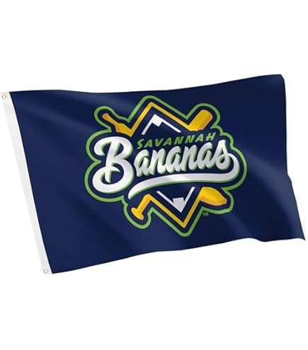 Amazon.com : Desert Cactus Savannah Bananas Baseball Flag 100