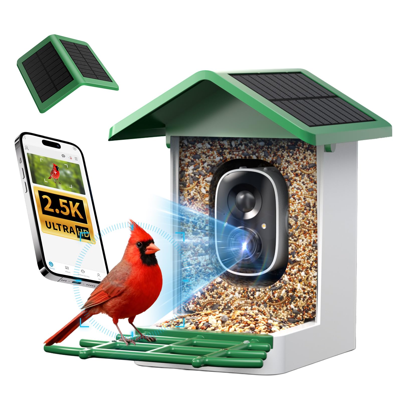 Best Value: isYoung Smart Bird Feeder with Dual Solar Panel (Green)