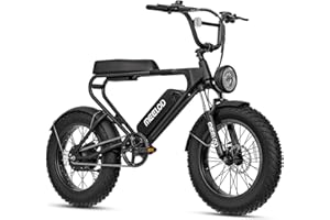 1000W Electirc Bike for Adults & Teens – 13AH 48V Removable Battery, 45KM/H Speed, 35-65KM Range, 20"x4.0 Fat Tires, LED Head