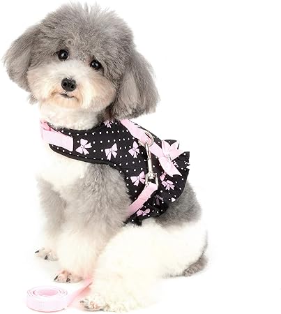 small dog harness dress