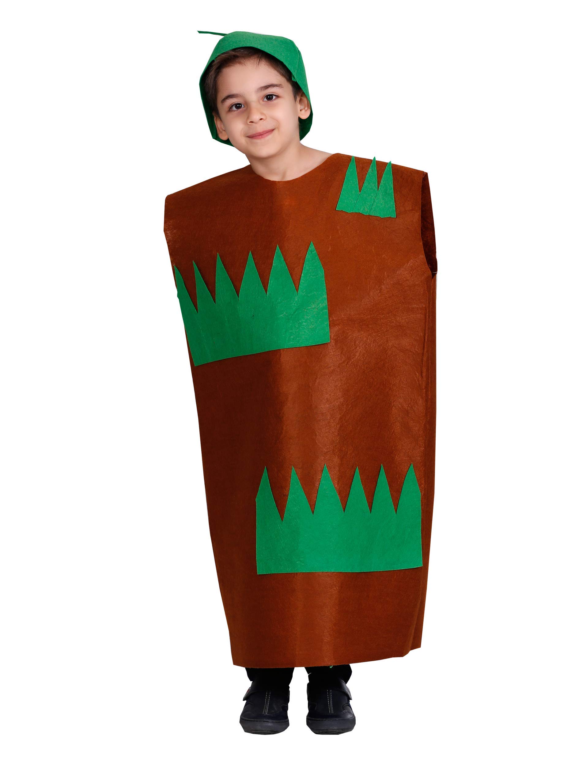 Matissa Kids Fruits Vegetables and Nature costumes Suits outfits Fancy Dress Party Boys and Girls (Grass)