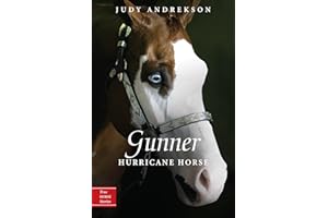 Gunner: Hurricane Horse (True Horse Stories)