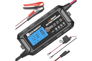 ECO-WORTHY Chargeur de batterie au lithium 12 V, mainteneur de batterie LiFePO4 automatique intelligent de 5 A avec écran LCD