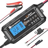 ECO-WORTHY 12V 5A Automatic Smart Battery Charger and Maintainer LCD Display for Lead Acid and Lithium (LiFePO4) Battery