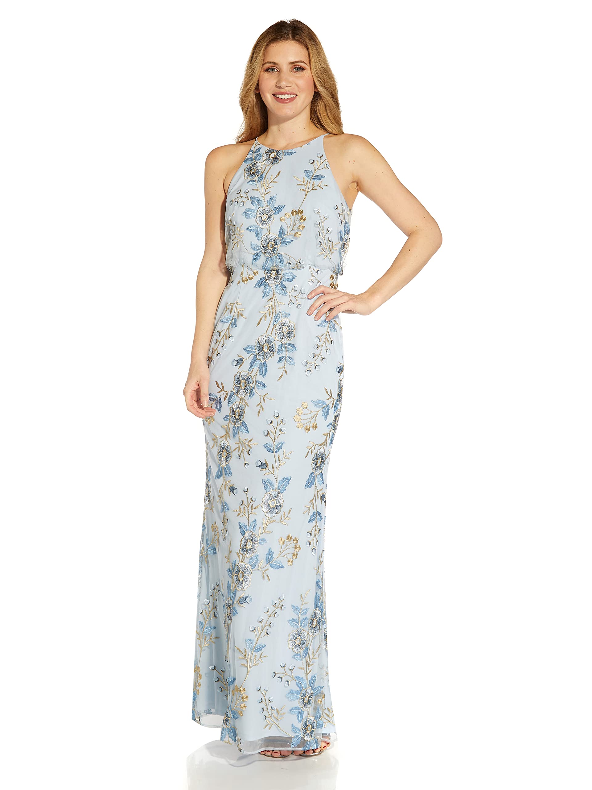 Photo 1 of Adrianna Papell Women's Embroidered Blouson Gown, Sky Blue, 6