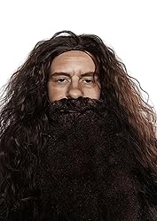 ALLAURA Brown Wizard Wig and Beard Set | Mens
