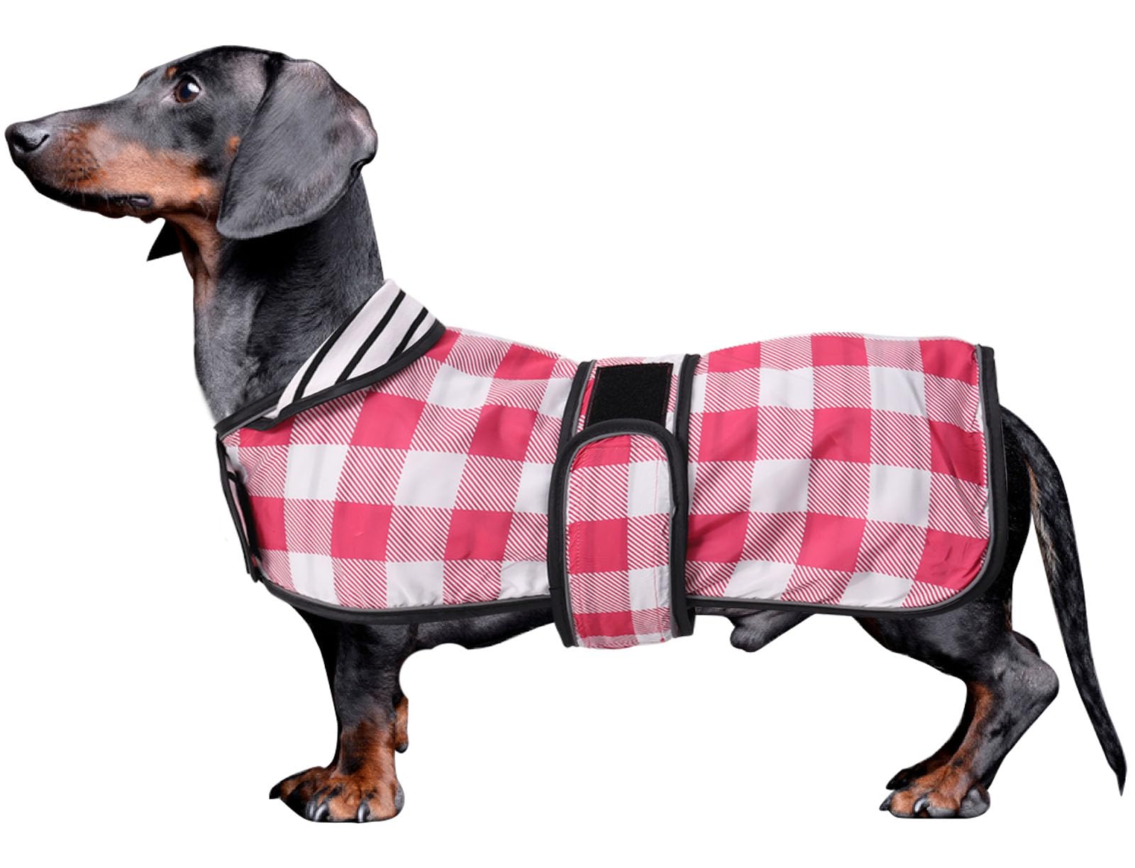 Morezi Dachshund coat miniature dachshund coats fit for dachshunds sausage dog rain coat with reflective stripe adjustable bands in autumn winter - Pink Plaid - S