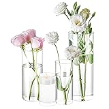 4 Pack Glass Cylinder Vases 4,6,8,10 Inch Tall