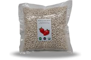 Great Northern Beans, 5 Pounds USDA Certified Organic, Non-GMO, Dried, Bulk, Product of USA, Mulberry Lane Farms
