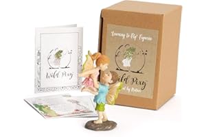 WILD PIXY Miniature Fairy Figurine - Fairy Garden Fairies with an Inspiration Theme, Includes A Fairy Poem and Gift Box, Gorgeous Miniature Garden Decoration for Indoor or Outdoor Fairy Gardens