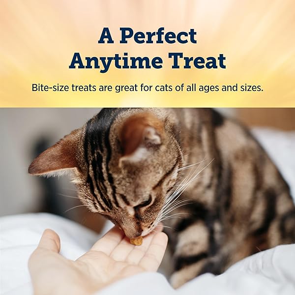 BLUE BUFFALO TRUE CHEWS NATURAL CHEWY CAT TREATS, MADE IN THE USA, DUCK RECIPE, 3-OZ RESEALABLE BAG
