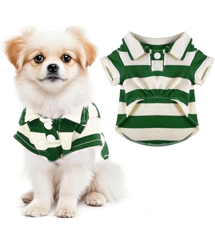 Petitebella Security Guard Hundeshirt – Lustiges Design, Weiche Baumwolle, Größen XS-XXXL