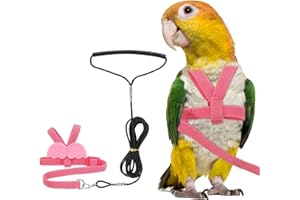 PETAXCELL Bird Harness Leash, Adjustable Pet Parrot Bird Harness and Leash Lightweight Anti-Bite Flight Training Rope with Cu