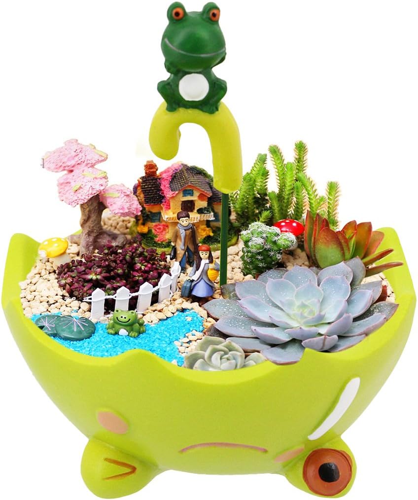 SegretoSegreto Creative Umbrella Plants Pots Brush Pots Planter for Flower Sedum Succulent Plants Desk Garden Room Pot Decor (Happy Frog)