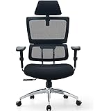 Topsky Mesh Computer Office Chair Ergonomic Design Chair 3d Armrest Skeletal Back Synchronous Mechanism Black Amazon Ca Office Products